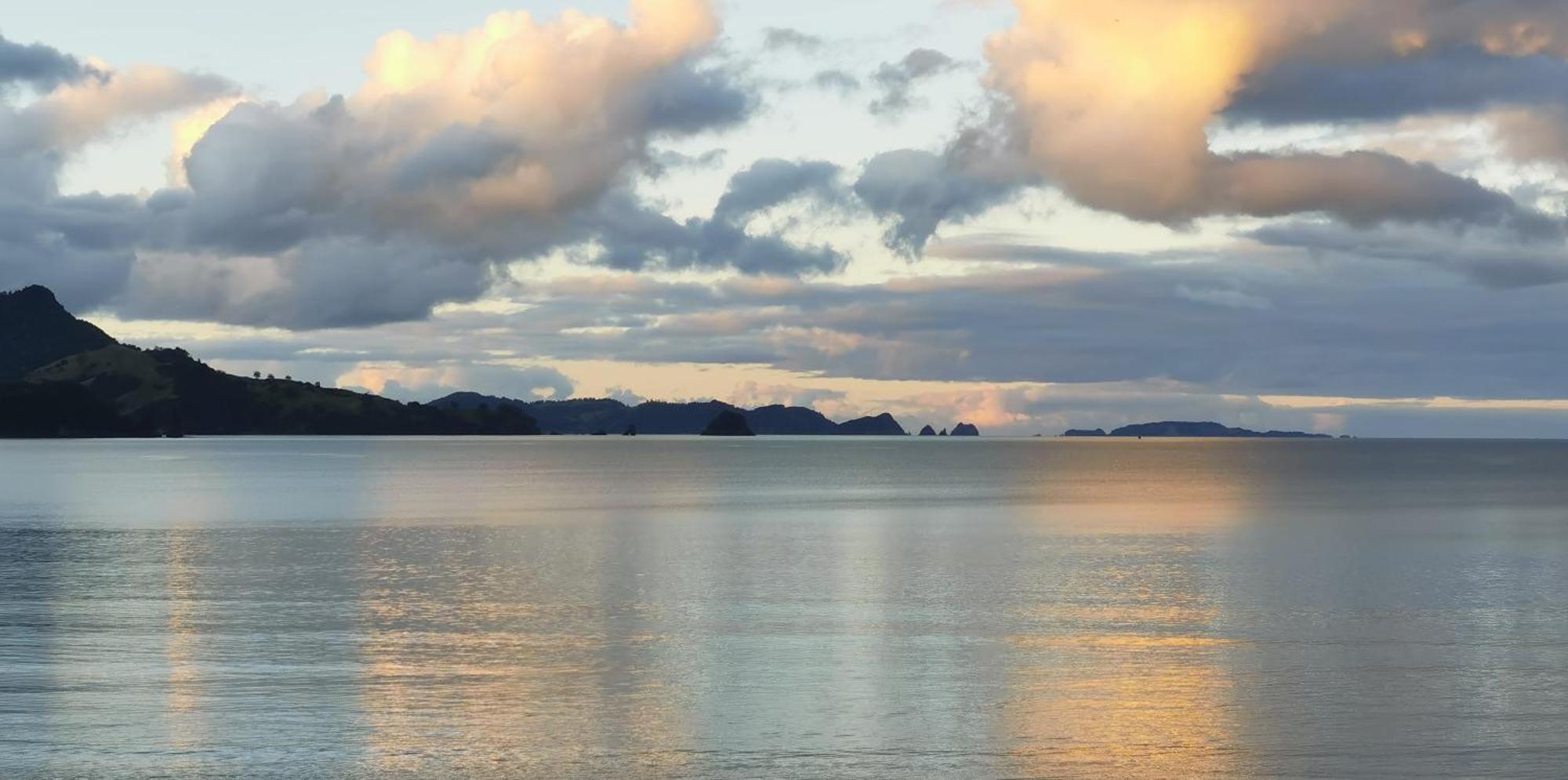 Waterfront Apartments Whitianga Εξωτερικό φωτογραφία