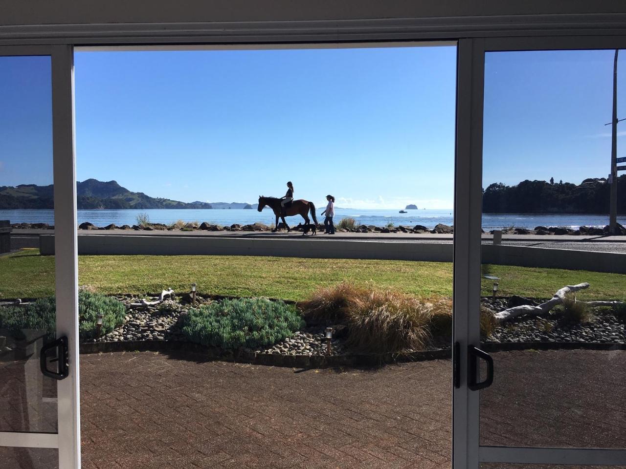 Waterfront Apartments Whitianga Εξωτερικό φωτογραφία
